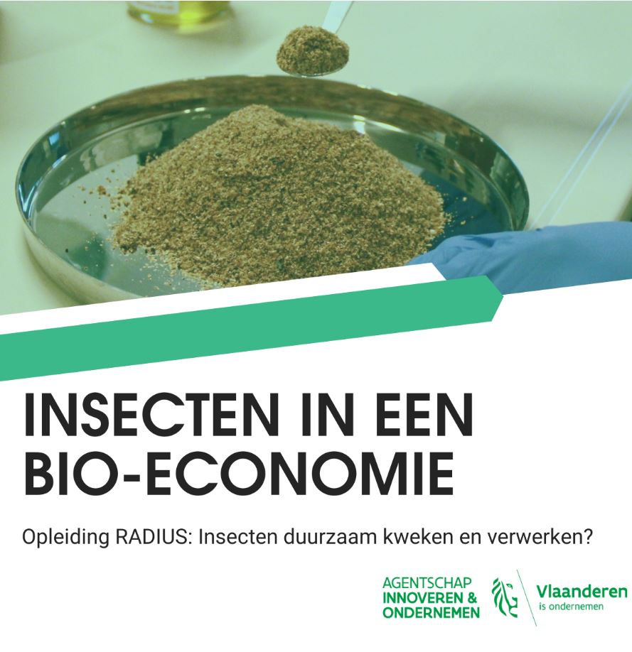 Opleiding Insecten in bio-economie