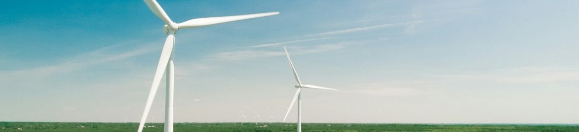 Landscape with windmoles