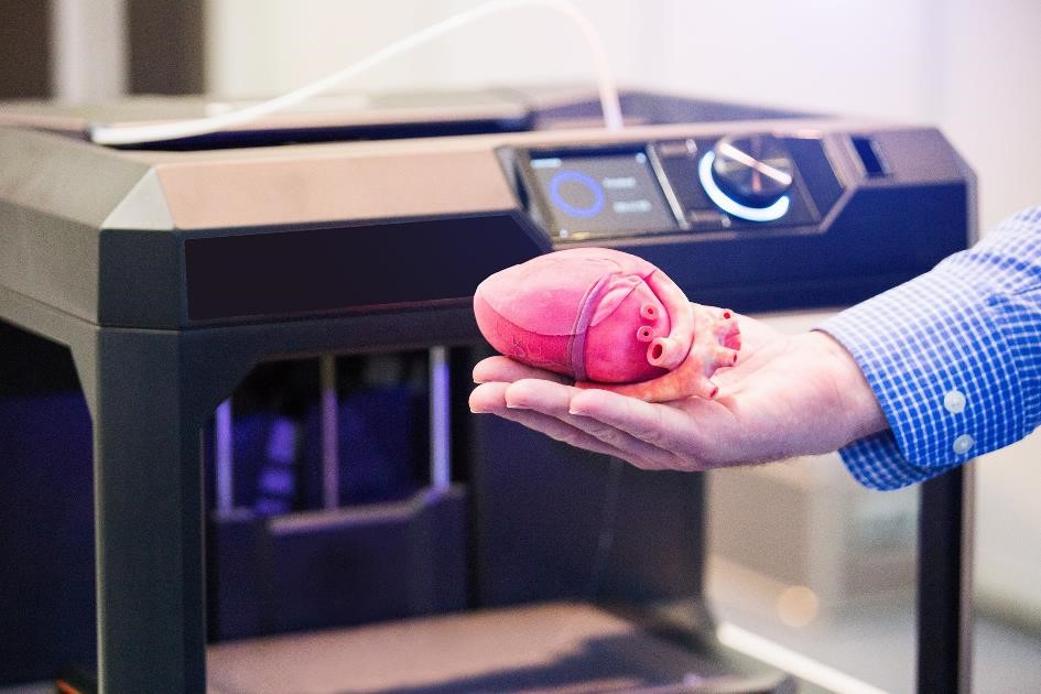 3D-geprint hart. (additive manufacturing)