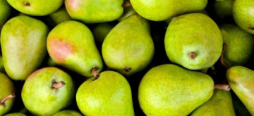 Peren
