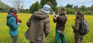 Mensen in het veld aan het kijken naar de lucht