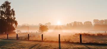 zonsopgang in Gooik