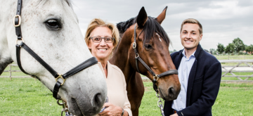 stamceltherapie voor paarden.