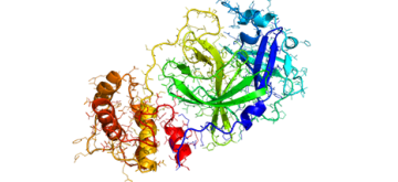 tekening corona virus