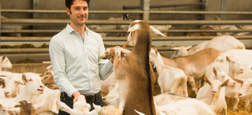 Farmdesk.eu staat de geitenhouders bij.