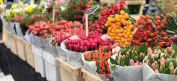 bloemen op de markt