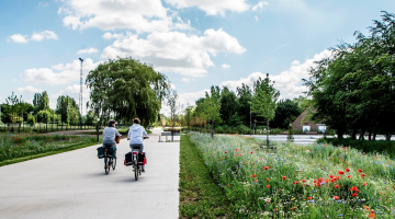 Park Groot Schijn