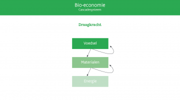 Cascadesysteem