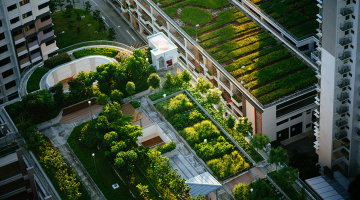 Klimaatdak met planten