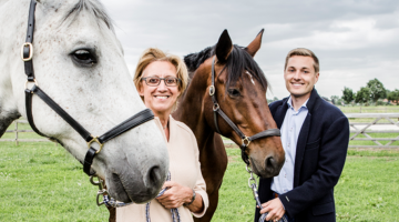 stamceltherapie voor paarden.