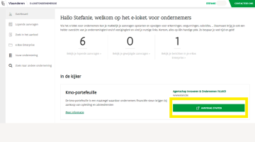 Screenshot uit het e-loketondernemers