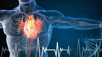 Beeld van hart in borstkas en cardiogram