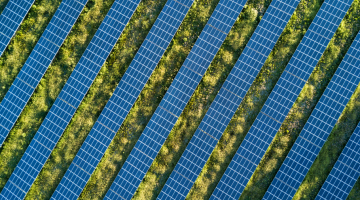 zonnepanelen