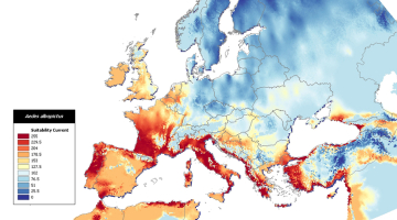 Verspreiding van de tijgermug in Europa.