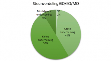 steunverdeling per grootte onderneming in 2020