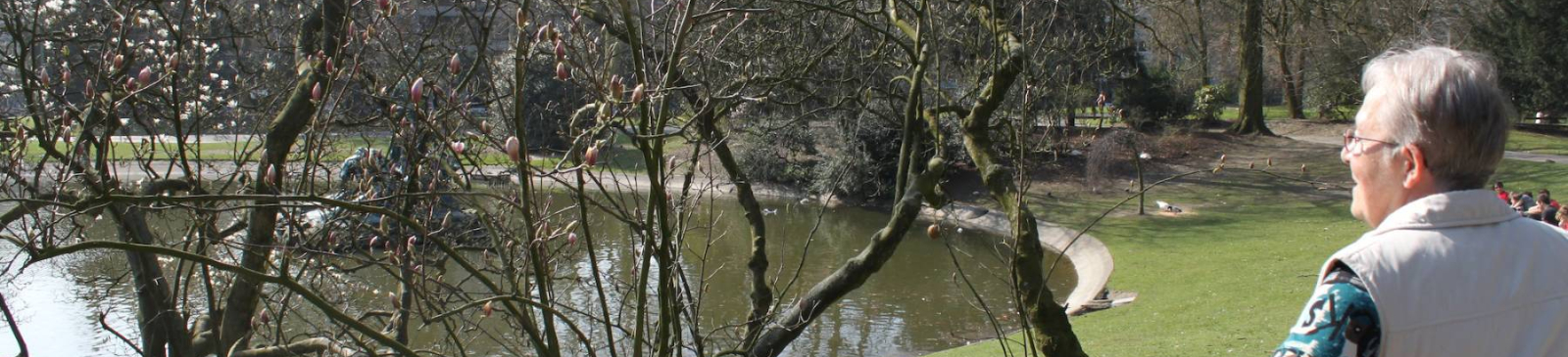 Oudere persoon die kijkt naar een vijver