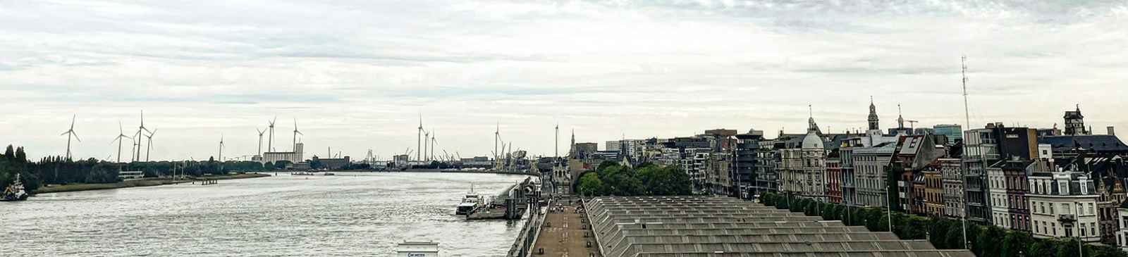 Vrouw aan het joggen door de velden