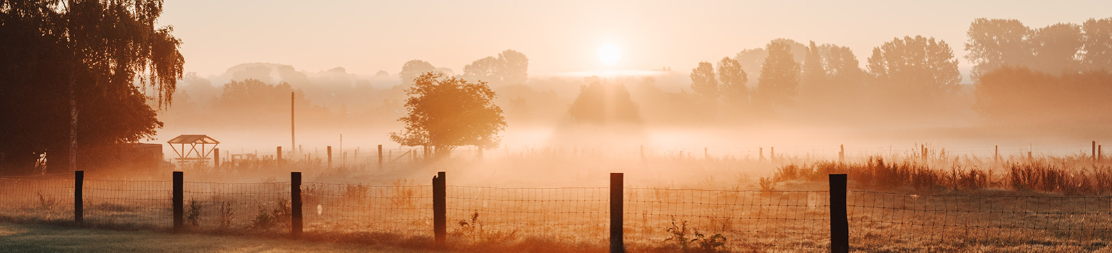 Zonsopgang in Gooik - foto van Aaron Staes op Unspash.com