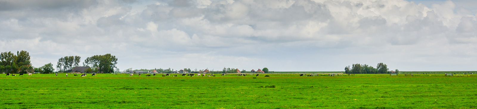 Vlaams landschap bij Mollem (Asse) door Hugo Kruip